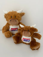 Small Highland Cow Teddy