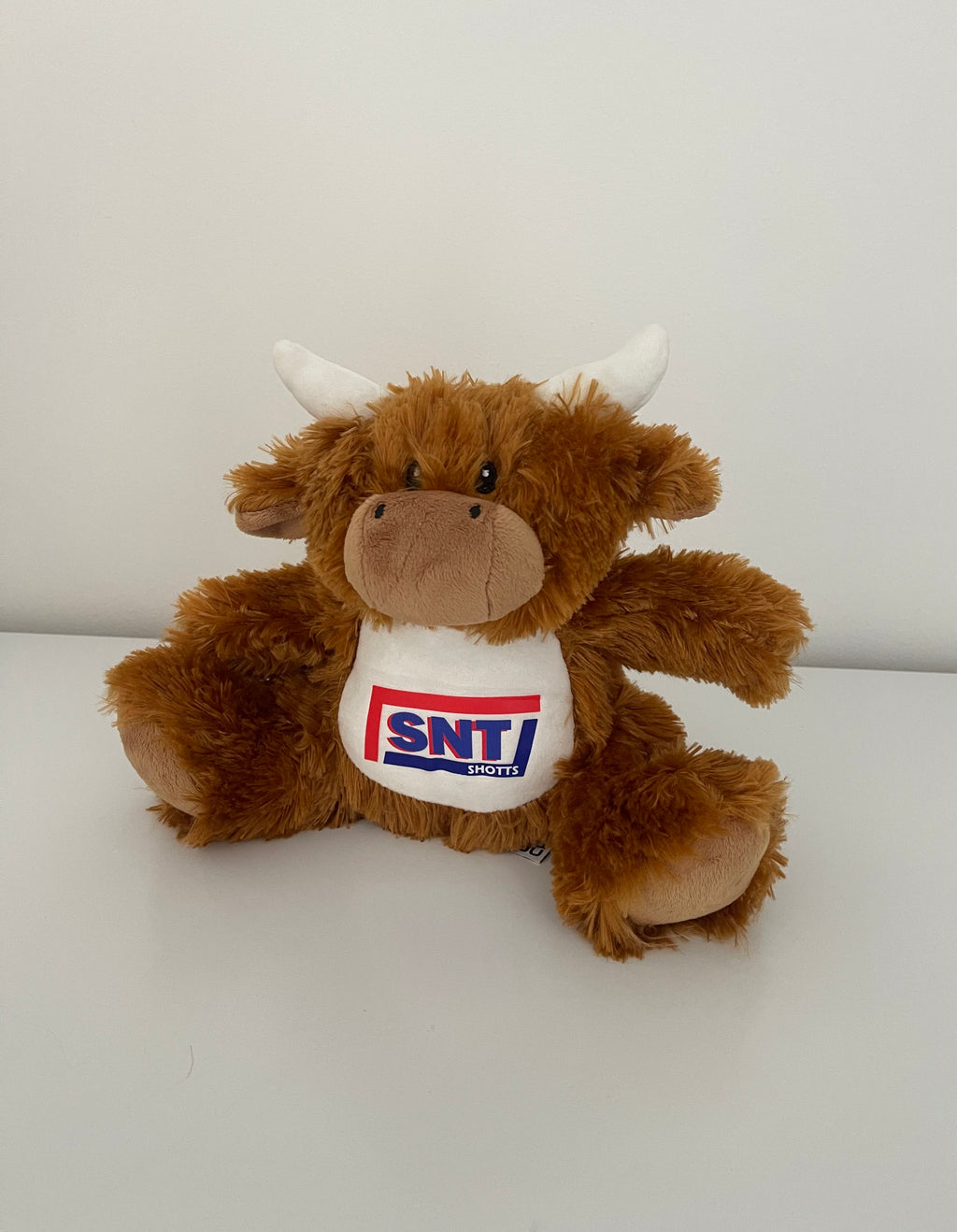 Small Highland Cow Teddy