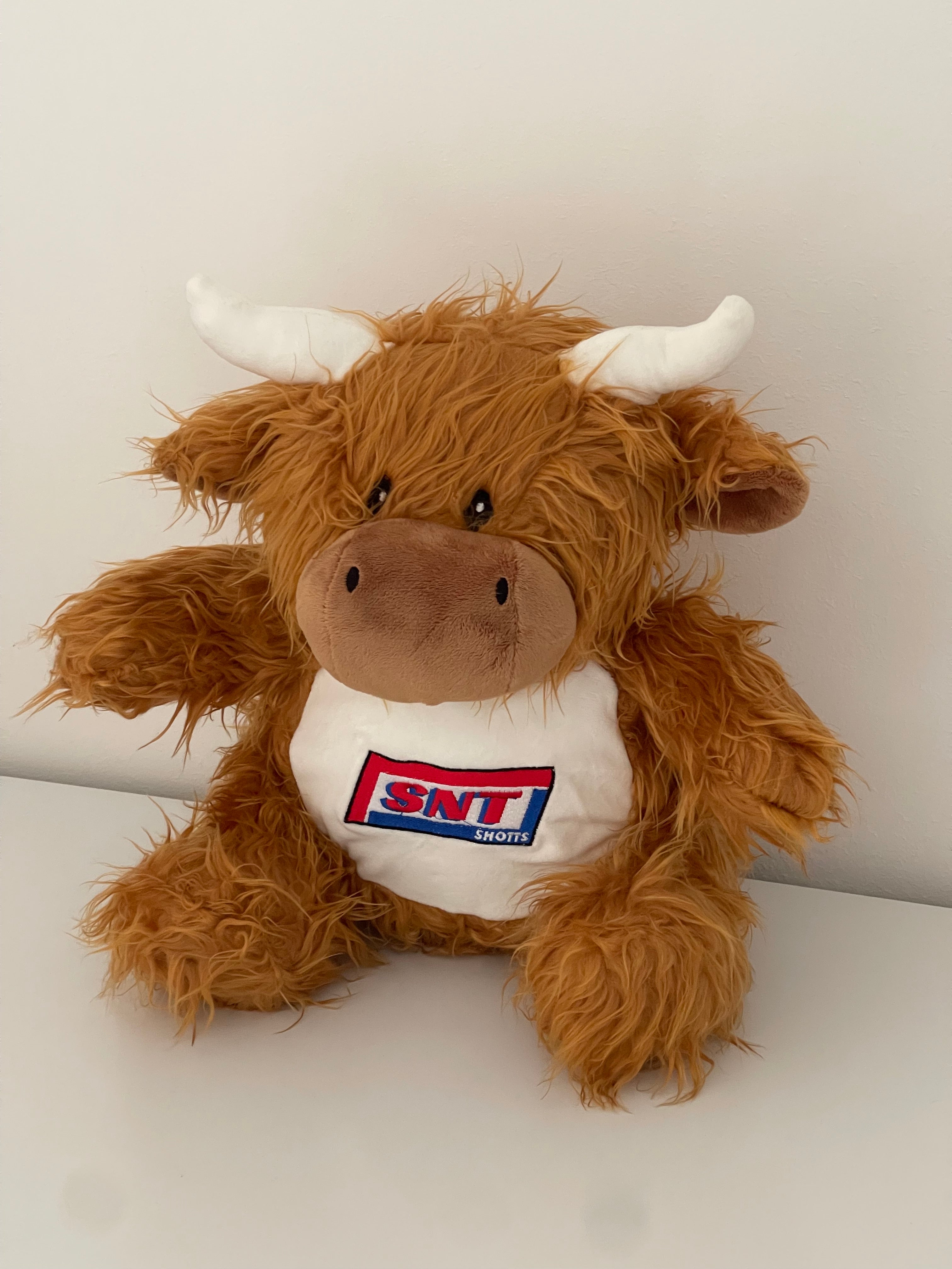 Large Highland Cow Teddy