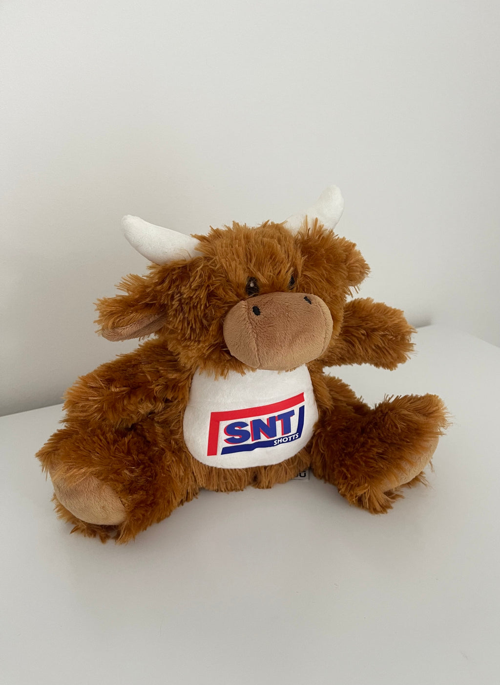 Small Highland Cow Teddy